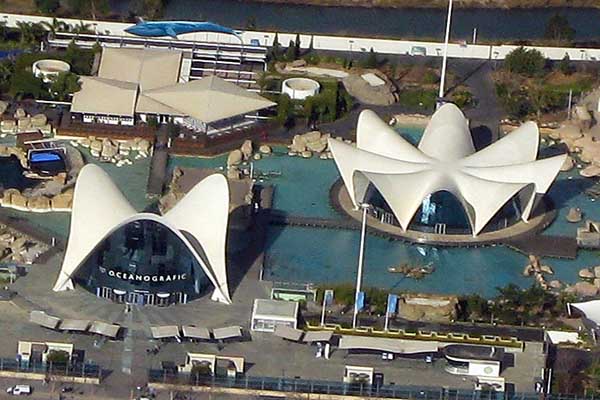 aquarium valencia oceanografic aquarium valencia oceanografic